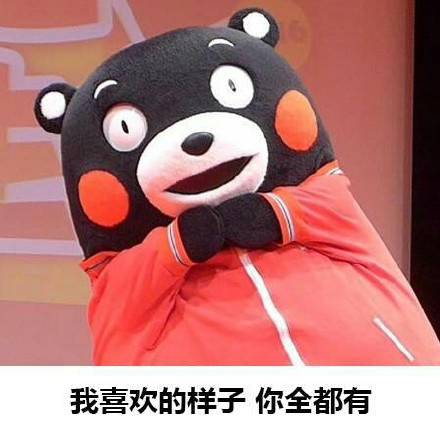 熊本熊表白微信表情包 熊本熊表白微信表情包第7张